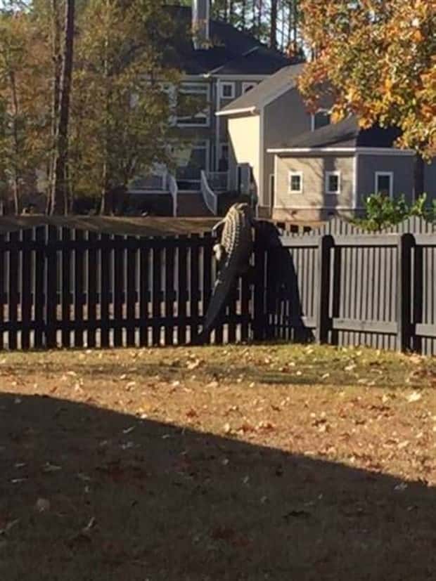 klyker picdump 9 18 2025 4 Klyker Picdump #1814 (44 photos)