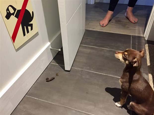 klyker picdump 9 18 2025 9 Klyker Picdump #1814 (44 photos)