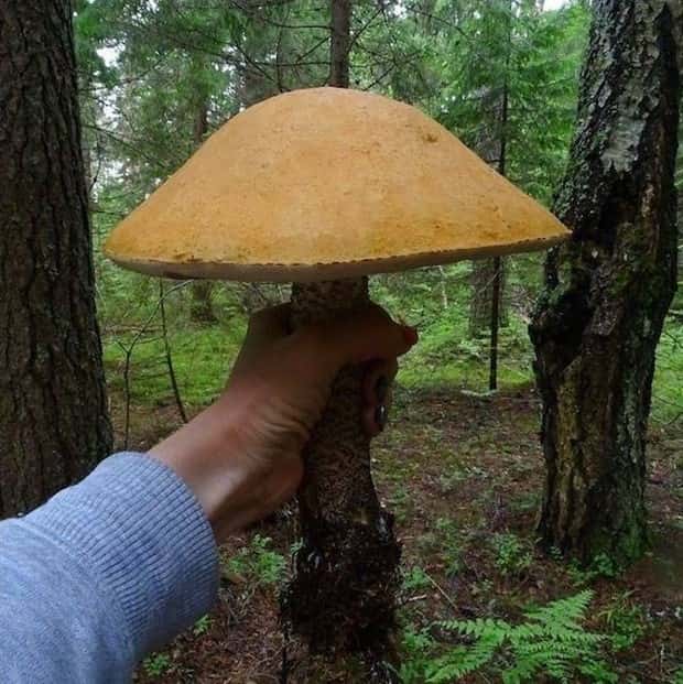 Klyker Picdump #1815 (45 photos)