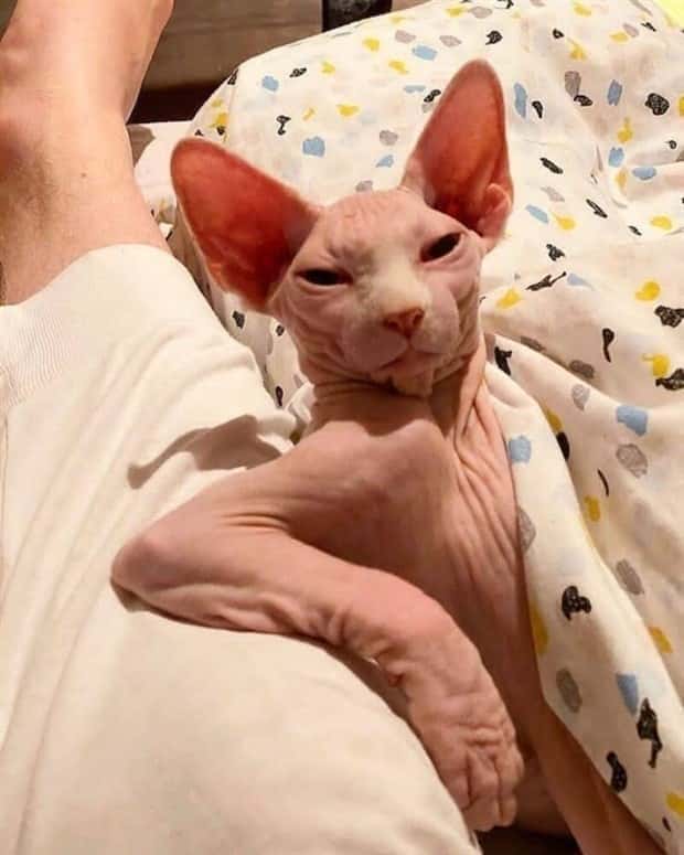 Klyker Picdump #1802 (42 photos)