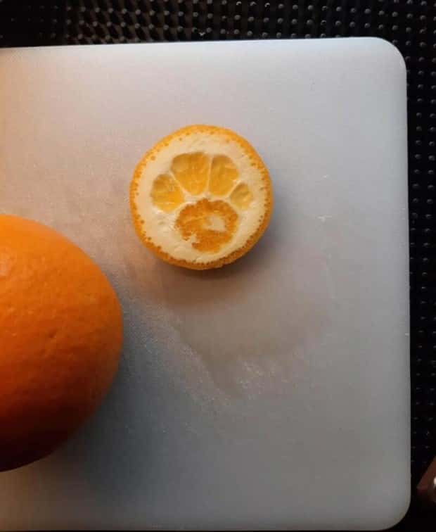 Klyker Picdump #1802 (42 photos)