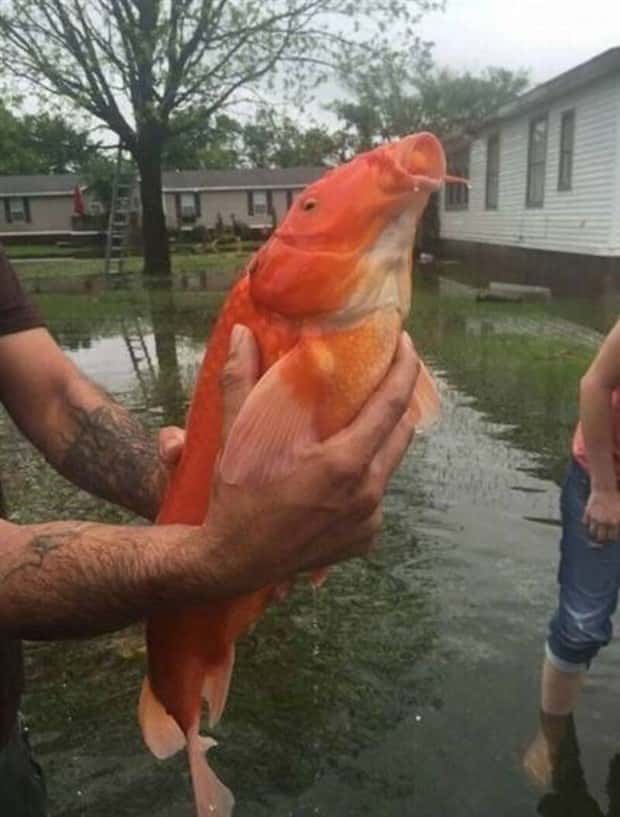 Klyker Picdump #1802 (42 photos)