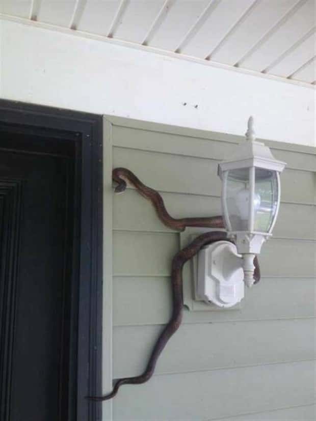 Klyker Picdump #1816 (41 photos)
