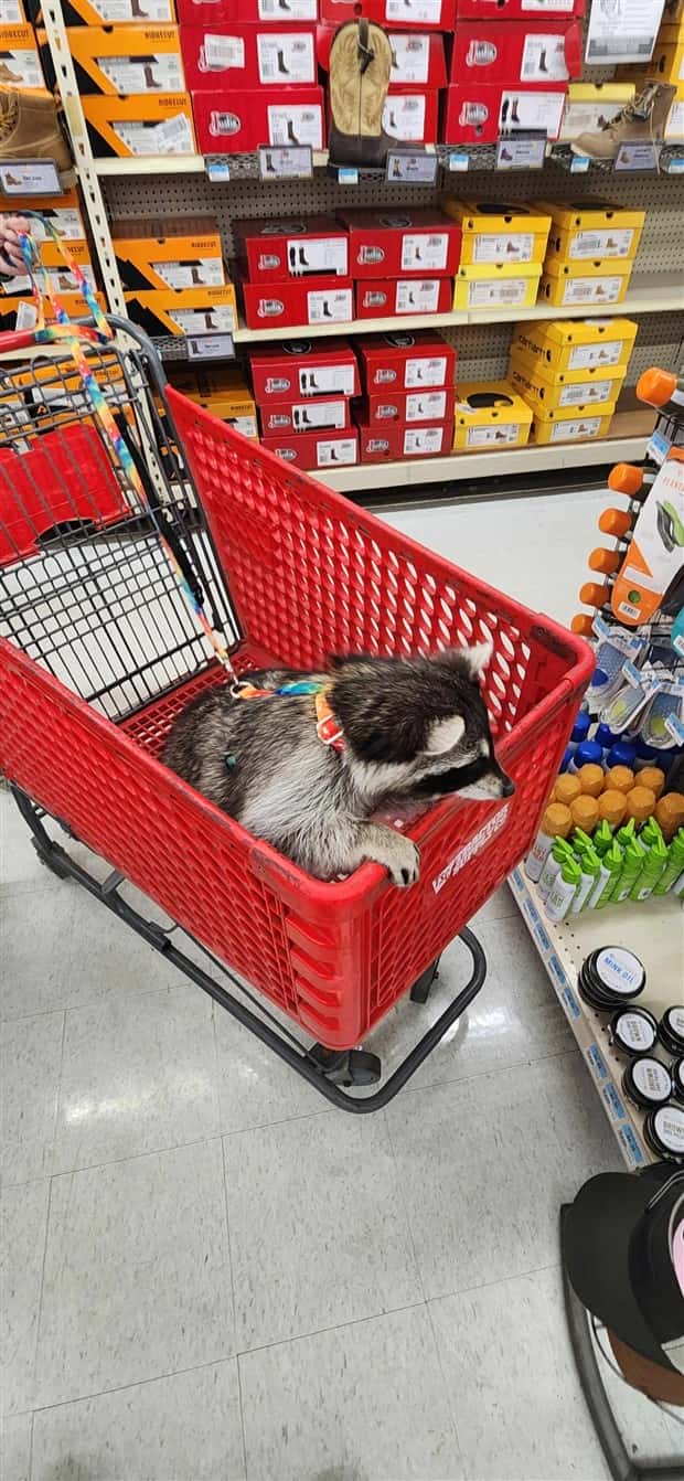 Klyker Picdump #1816 (41 photos)