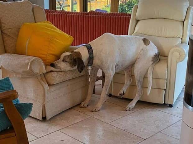 Klyker Picdump #1817 (42 photos)