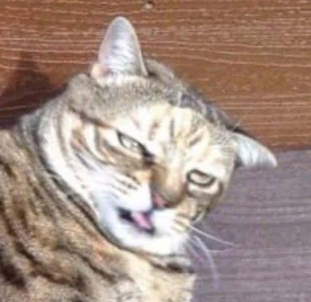 Klyker Picdump #1818 (43 photos)