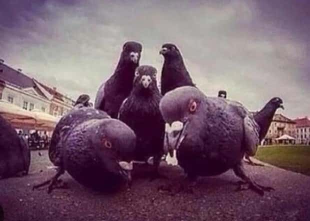 Klyker Picdump #1818 (43 photos)