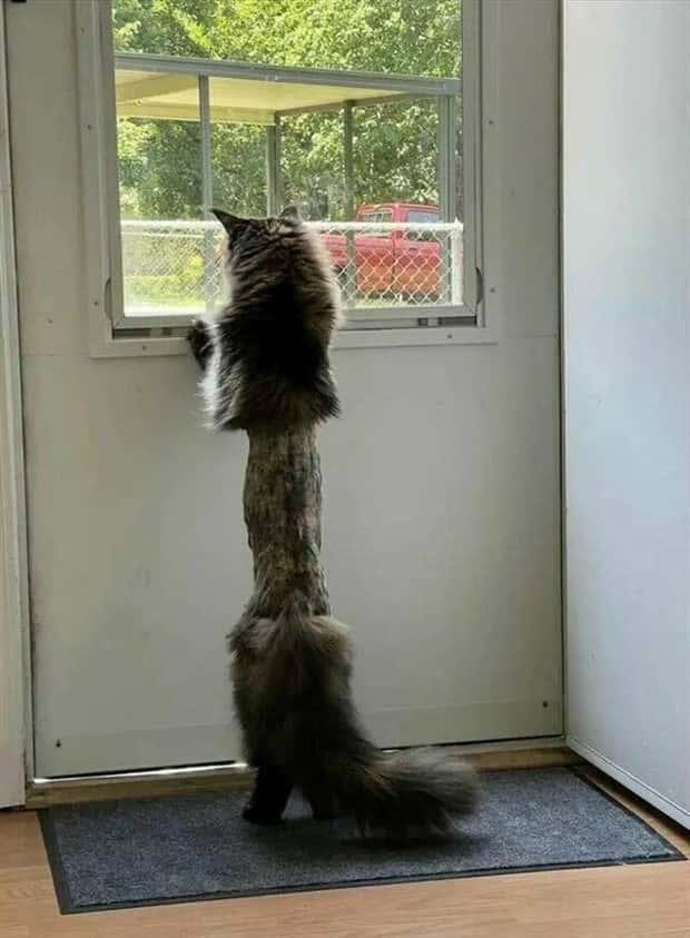 Klyker Picdump #1818 (43 photos)