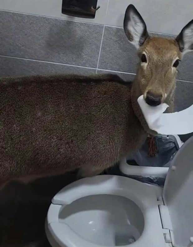 Klyker Picdump #1818 (43 photos)