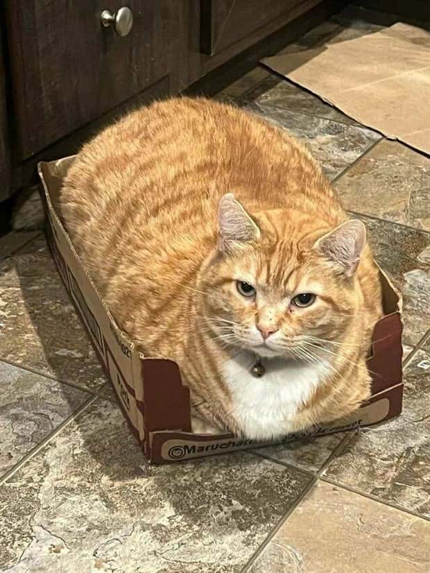 Klyker Picdump #1818 (43 photos)