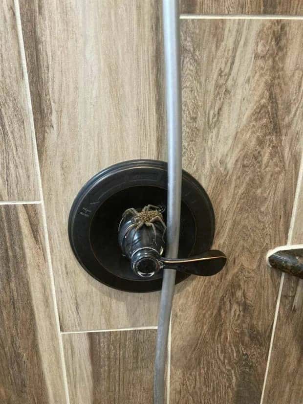 Klyker Picdump #1819 (44 photos)