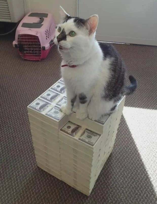 Klyker Picdump #1820 (45 photos)