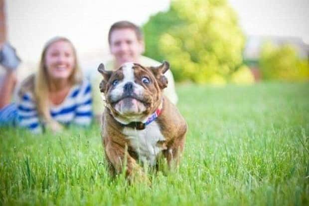 Klyker Picdump #1820 (45 photos)