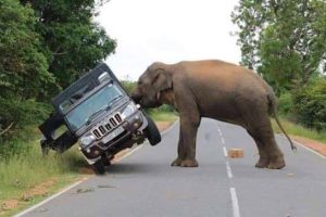 Klyker Picdump #1821 (41 photos)