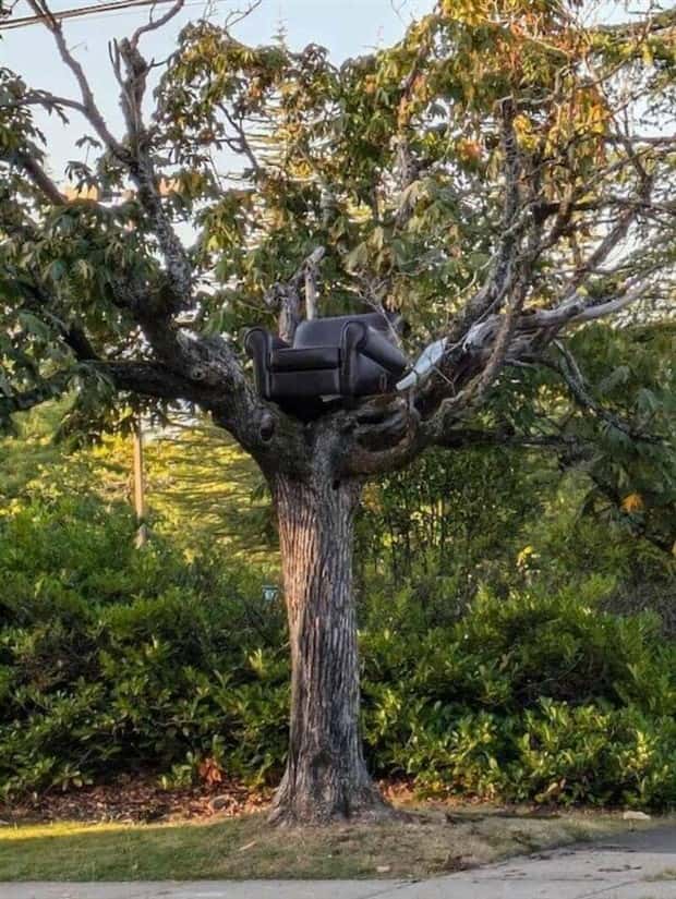 Klyker Picdump #1803 (43 photos)