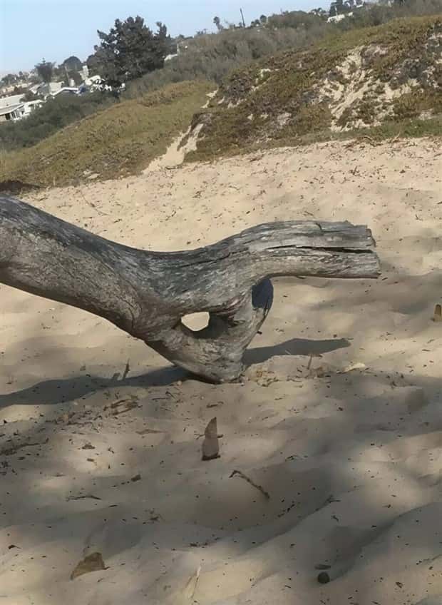 Klyker Picdump #1803 (43 photos)