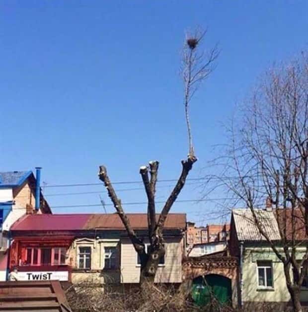 Klyker Picdump #1803 (43 photos)