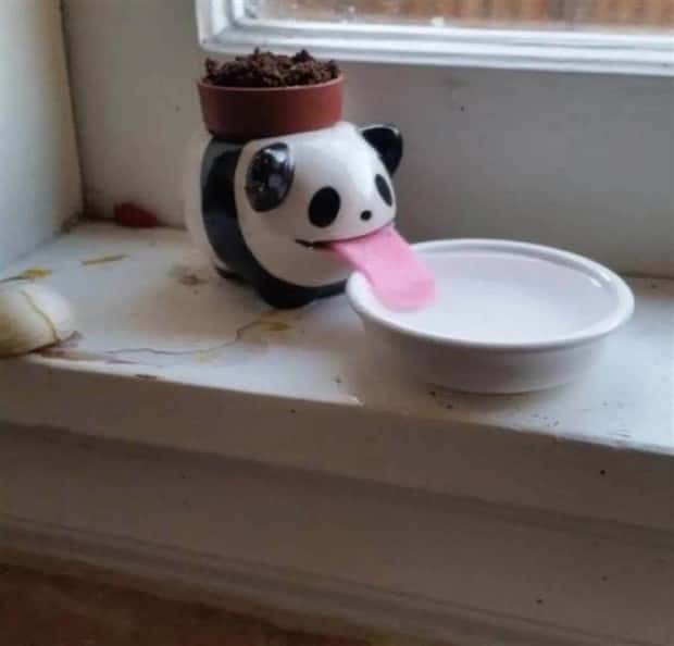 Klyker Picdump #1803 (43 photos)