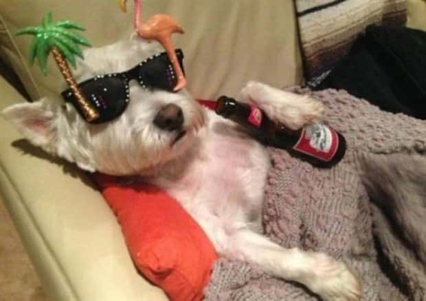 Klyker Picdump #1803 (43 photos)