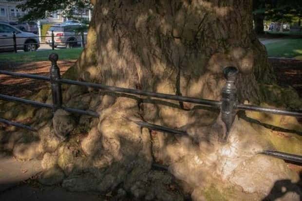 klyker picdump 9 30 2025 31 Klyker Picdump #1822 (42 photos)