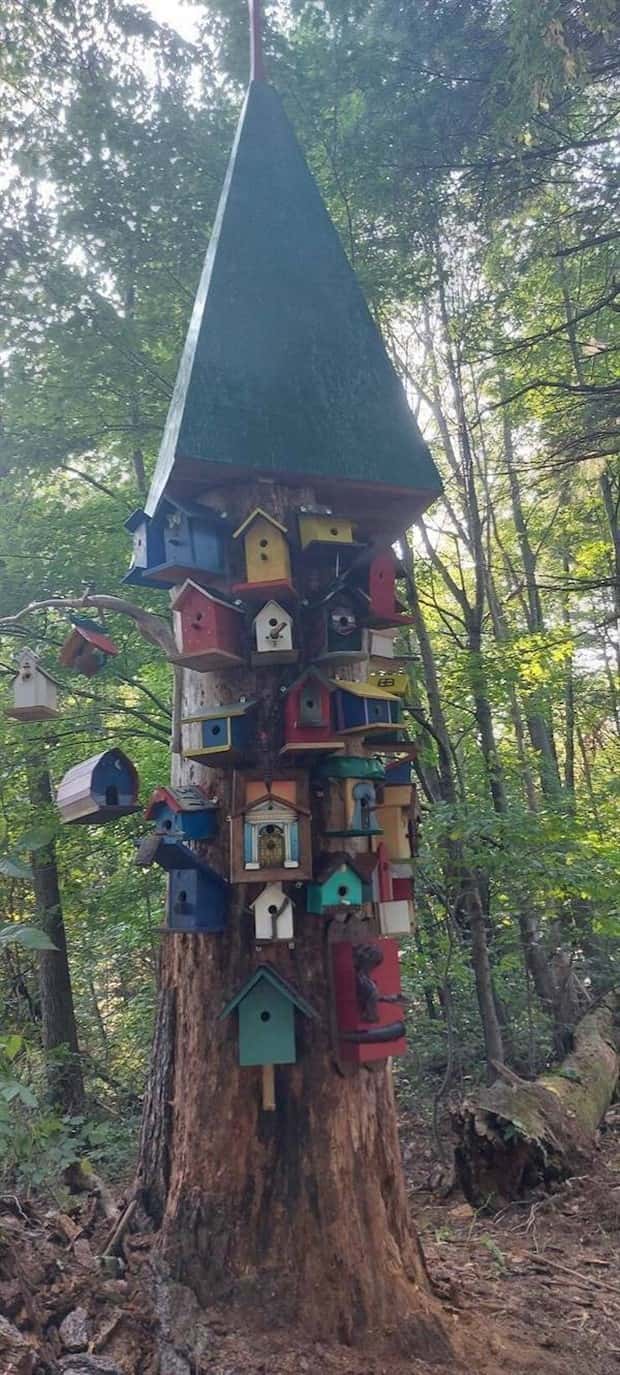 klyker picdump 9 30 2025 42 Klyker Picdump #1822 (42 photos)