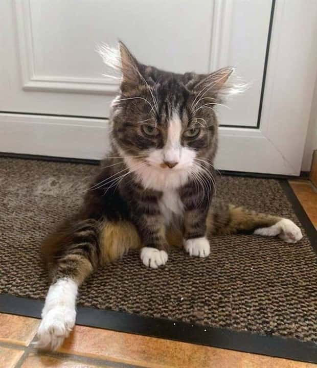 klyker picdump 9 30 2025 7 Klyker Picdump #1822 (42 photos)