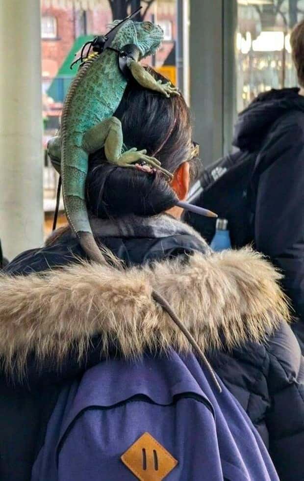 Klyker Picdump #1804 (44 photos)