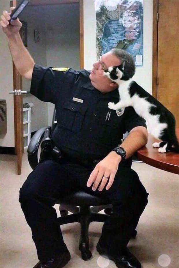 Klyker Picdump #1804 (44 photos)