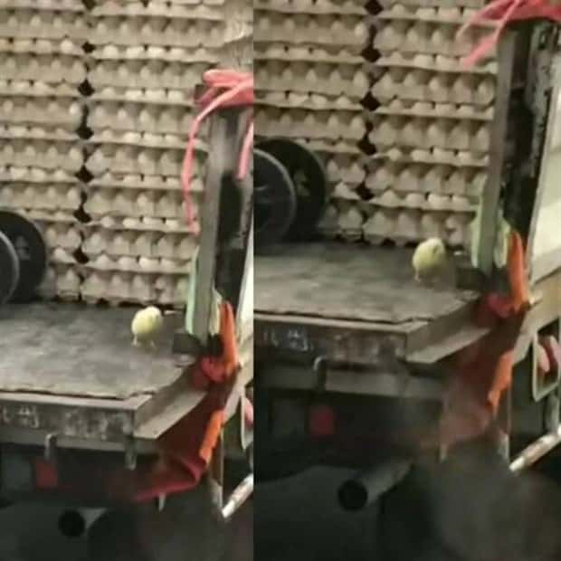 Klyker Picdump #1804 (44 photos)