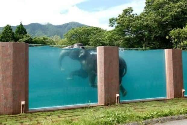 Klyker Picdump #1804 (44 photos)