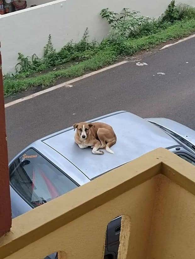 Klyker Picdump #1804 (44 photos)