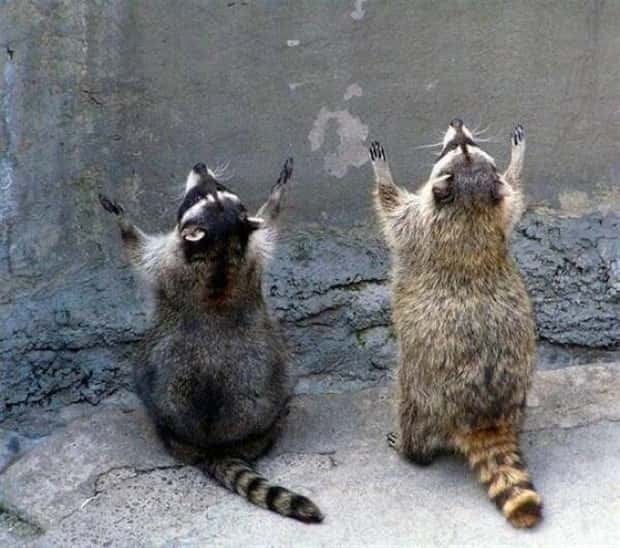 Klyker Picdump #1804 (44 photos)