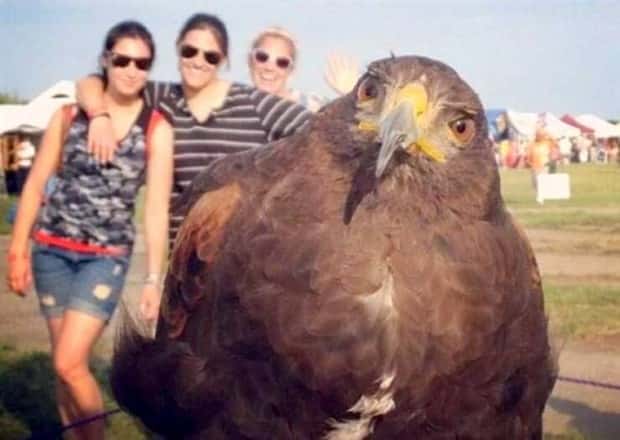 Klyker Picdump #1804 (44 photos)