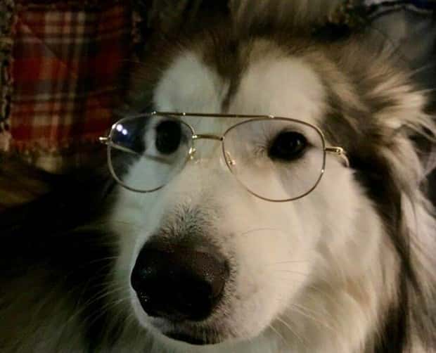 Klyker Picdump #1805 (45 photos)