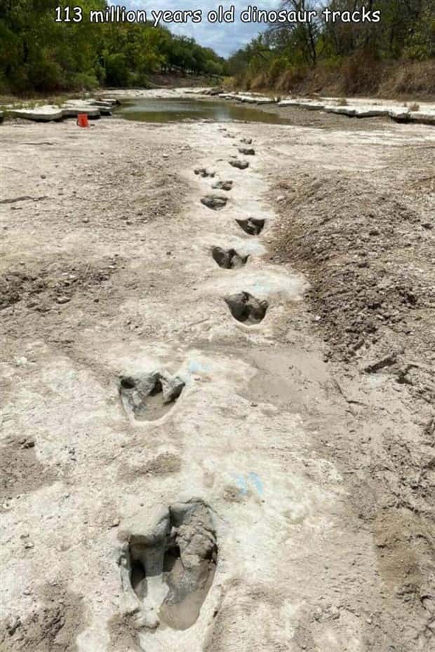 Interesting Pictures with Captions #172 (19 photos)