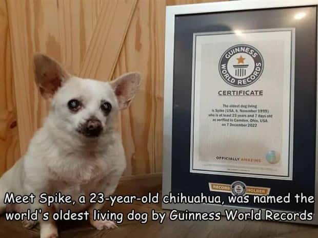 Interesting Pictures with Captions #172 (19 photos)