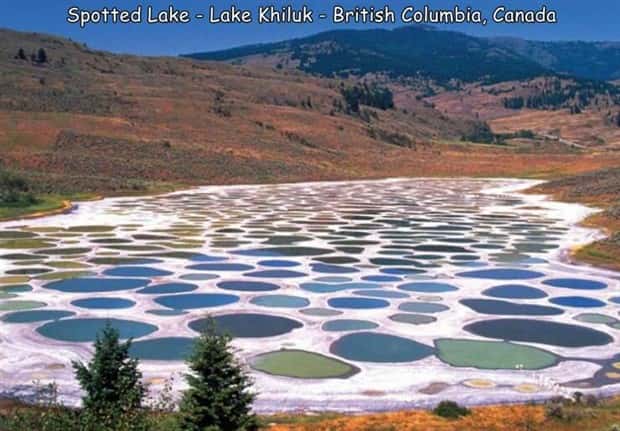 Interesting Pictures with Captions #172 (19 photos)