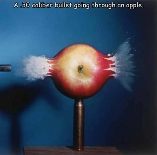 Interesting Pictures with Captions #172 (19 photos)