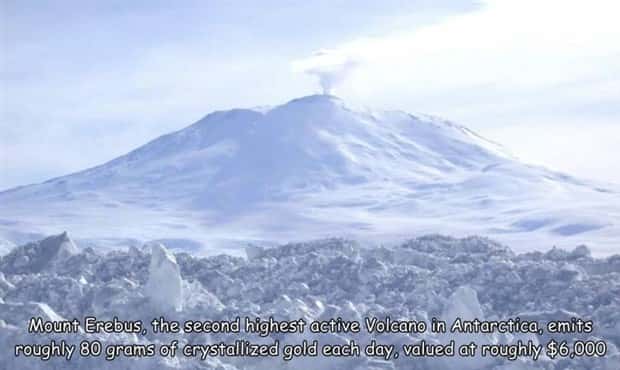 Interesting Pictures with Captions #172 (19 photos)