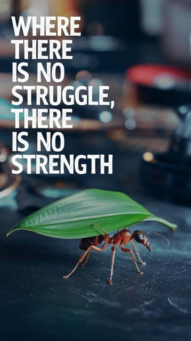 Motivational Quotes, Because It’s Monday #173 (25 photos)