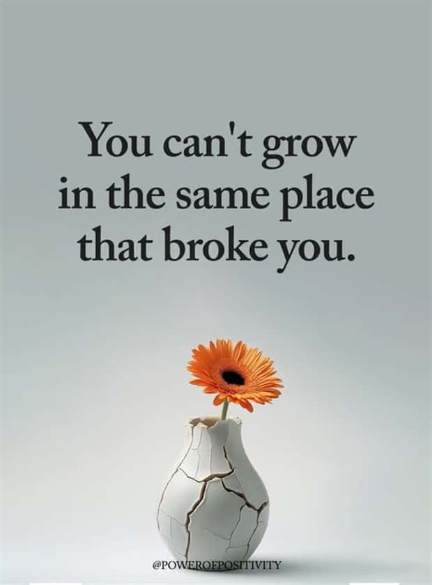 Motivational Quotes, Because It’s Monday #172 (24 photos)
