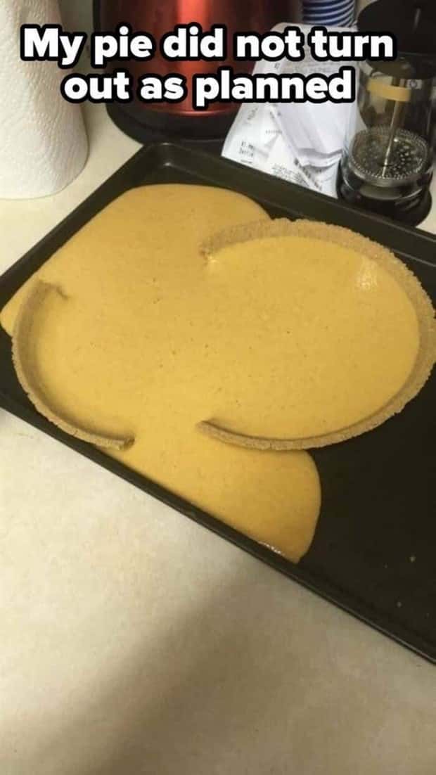 Shit Happens Regularly, Get Used To It #348 (22 photos)
