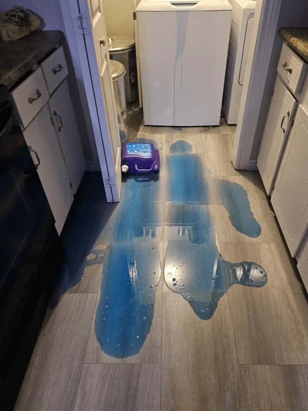 Shit Happens Regularly, Get Used To It #348 (22 photos)