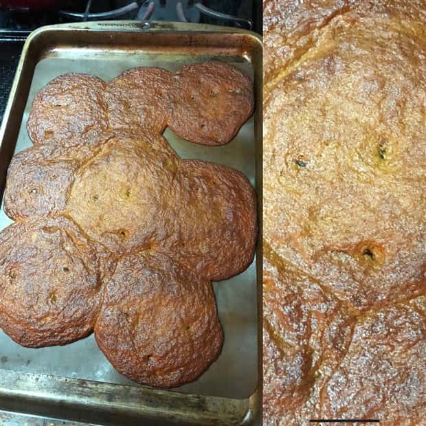 Shit Happens Regularly, Get Used To It #346 (23 photos)