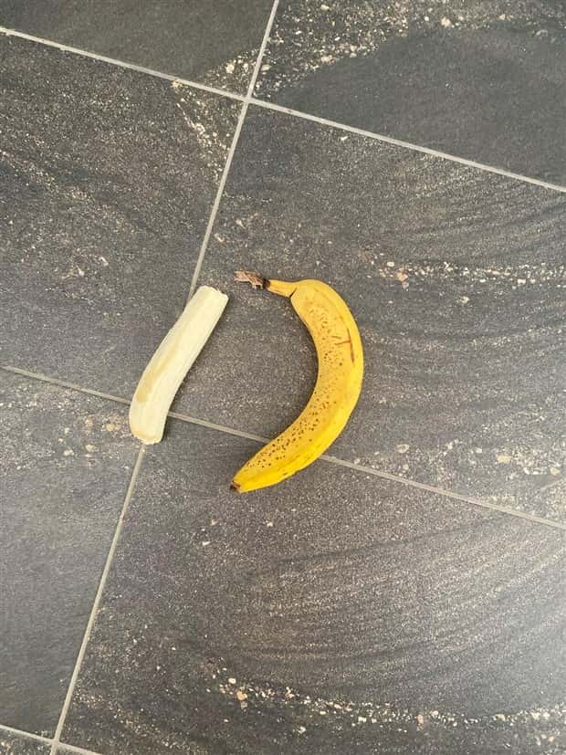 Shit Happens Regularly, Get Used To It #346 (23 photos)