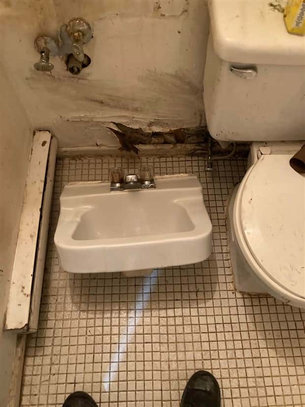 Shit Happens Regularly, Get Used To It #346 (23 photos)