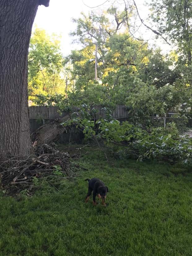 Shit Happens Regularly, Get Used To It #346 (23 photos)