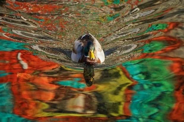 optical tricks 10 23 Optical Tricks That Will Confuse Your Vision (23 photos)