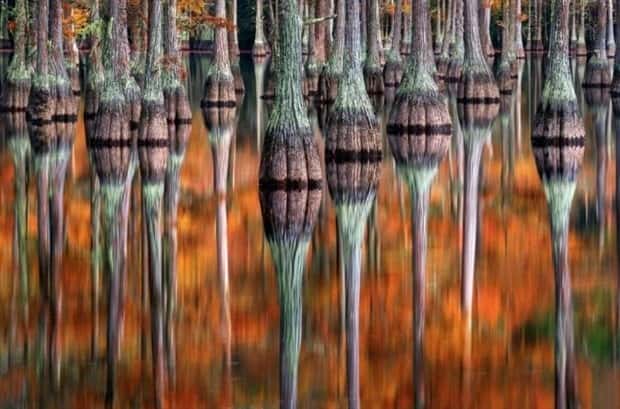 optical tricks 13 23 Optical Tricks That Will Confuse Your Vision (23 photos)