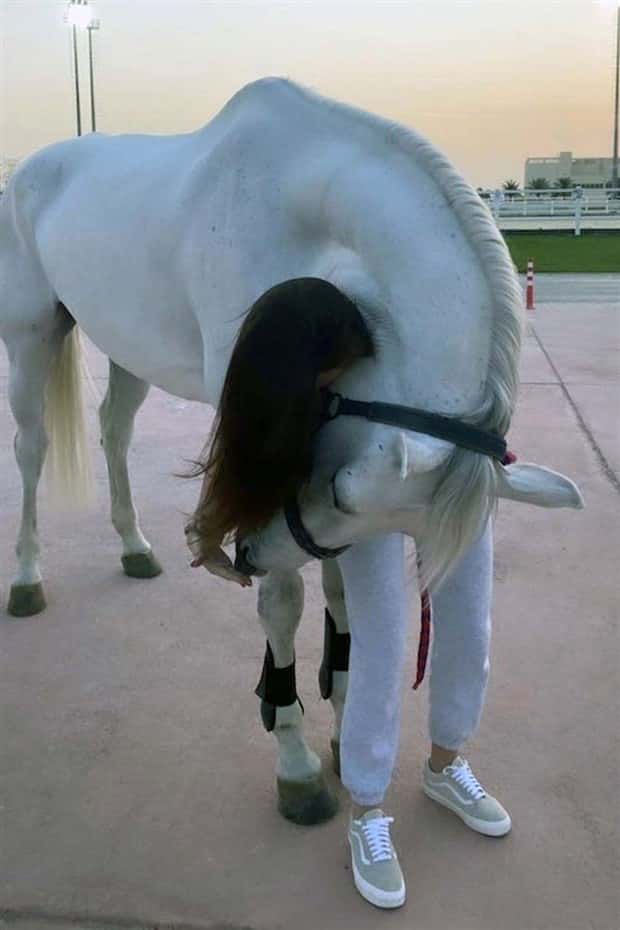 optical tricks 21 23 Optical Tricks That Will Confuse Your Vision (23 photos)